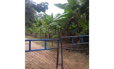 TRES HECTREAS EN PATIO BONITO