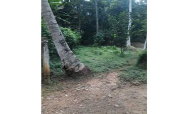 TRES HECTREAS EN PATIO BONITO
