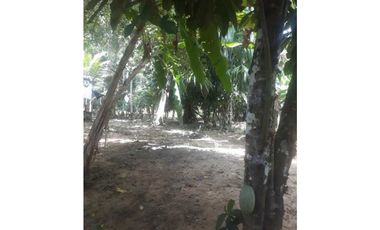 TRES HECTREAS EN PATIO BONITO