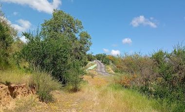 Parcela venta Quilpué, Ruta Lo Orosco, acceso a Ruta 68