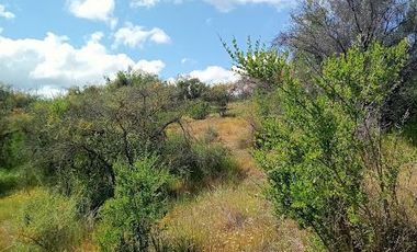 Parcela venta Quilpué, Ruta Lo Orosco, acceso a Ruta 68