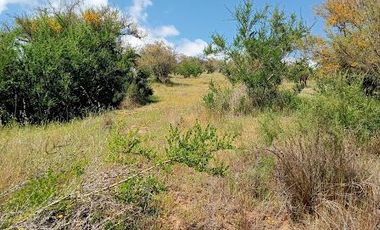 Parcela venta Quilpué, Ruta Lo Orosco, acceso a Ruta 68