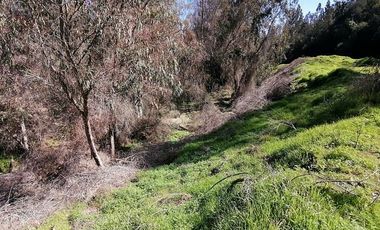 Parcela venta Quilpué, Ruta Lo Orosco, acceso a Ruta 68