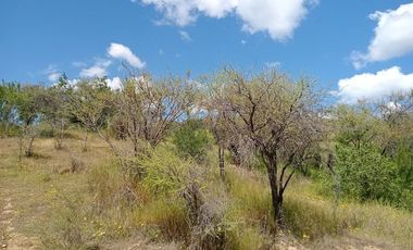 Parcela venta Quilpué, Ruta Lo Orosco, acceso a Ruta 68