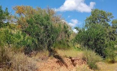 Parcela venta Quilpué, Ruta Lo Orosco, acceso a Ruta 68