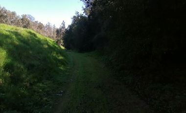 Parcela venta Quilpué, Ruta Lo Orosco, acceso a Ruta 68