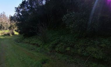 Parcela venta Quilpué, Ruta Lo Orosco, acceso a Ruta 68
