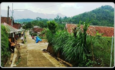 Tanah Lahan Kebun Kopi Luas di Ngantang Malang