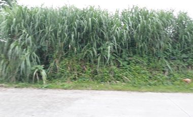 Tanah dijual di Jawa Barat, Bandung Barat