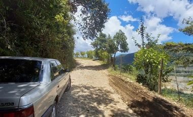 VENDO FINCA