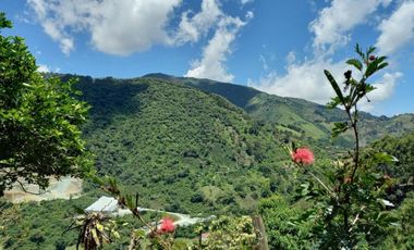 VENDO FINCA