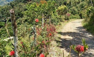 VENDO FINCA