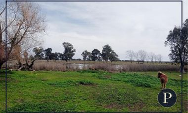 Campo en Comandante Nicanor Otamendi