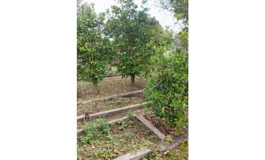 Campo en Mariano Boedo  Formosa