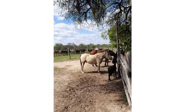 Campo en Mariano Boedo  Formosa