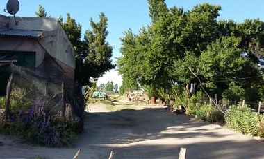 Finca en Las Paredes - 10 hectareas 1Âº regante