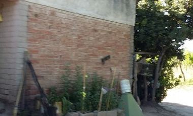 Finca en Las Paredes - 10 hectareas 1Âº regante