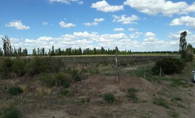 Finca en Las Paredes - 10 hectareas 1Âº regante