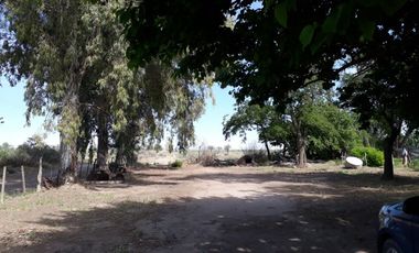Finca en Las Paredes - 10 hectareas 1Âº regante