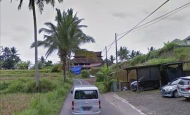 Land for lease views of rice fields close Ubud Center Bali