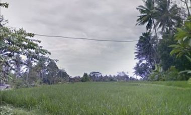 Land for lease views of rice fields close Ubud Center Bali