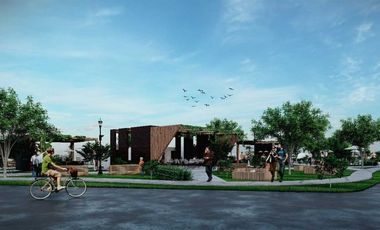 Arroyo Brunet modelo Crianza