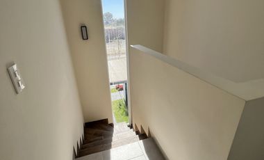 Arroyo Brunet modelo Crianza