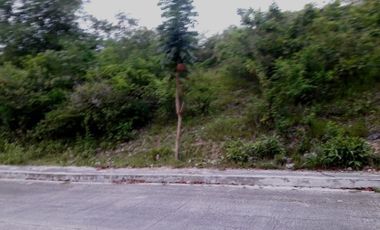 257 Sqm Elevated Residential Lot for Sale in Consolacion Cebu with mountain view