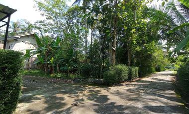 rumah dijual cluster mertoyudan indah jalan pattimura
