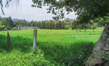Se vende terreno en Coacoatzintla Km 12