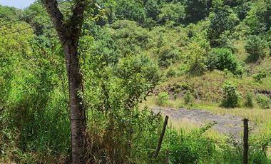 Se vende terreno en Coacoatzintla Km 12