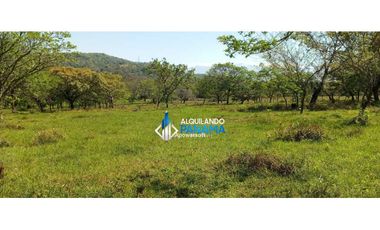 Vendo hermosa finca de 2 hectareas en Quiteño, David.