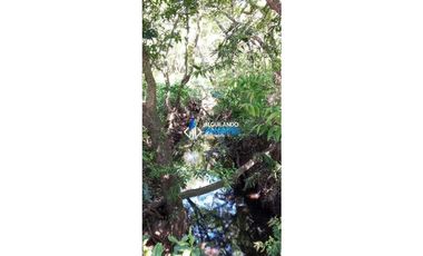 Vendo hermosa finca de 2 hectareas en Quiteño, David.
