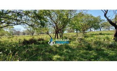 Vendo hermosa finca de 2 hectareas en Quiteño, David.