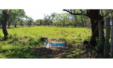 Vendo hermosa finca de 2 hectareas en Quiteño, David.