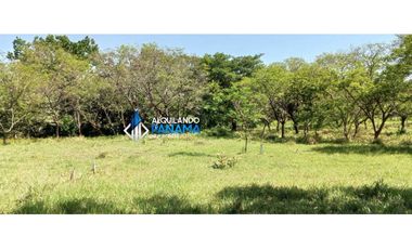 Vendo hermosa finca de 2 hectareas en Quiteño, David.