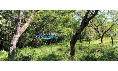 Vendo hermosa finca de 2 hectareas en Quiteño, David.