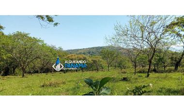 Vendo hermosa finca de 2 hectareas en Quiteño, David.