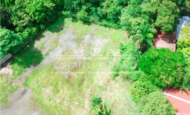 Se Vende Terreno en Avenida Domingo Díaz, Villa Lucre MLS#15381