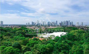 Se Vende Terreno en Avenida Domingo Díaz, Villa Lucre MLS#15381