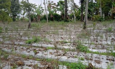 Jual Cepat Tanah Perumahan 30 Ha Di Cimanggung Sumedang