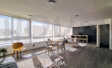 Departamento Briones luco ID: 151333r