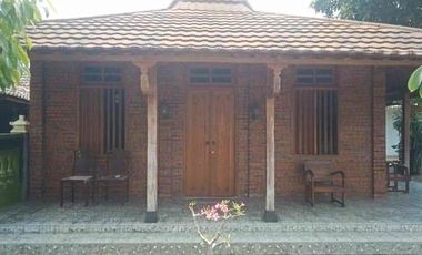 Rumah etnik plus pendopo di Kotagede