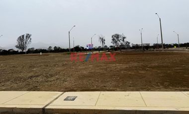 𝐄𝐧 𝐕𝐞𝐧𝐭𝐚 𝐭𝐞𝐫𝐫𝐞𝐧𝐨𝐬 𝐞𝐧 𝐂𝐚𝐧̃𝐞𝐭𝐞 - 𝐀𝐬𝐢𝐚