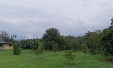 lote en venta en vía el naranjal-ginebra. Cod V107665