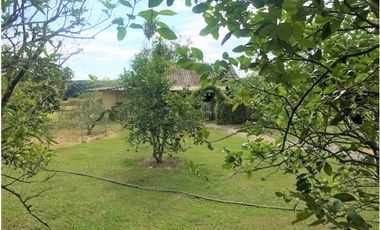 lote en venta en vía el naranjal-ginebra. Cod V107665