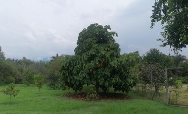 lote en venta en vía el naranjal-ginebra. Cod V107665