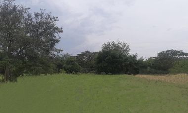 lote en venta en vía el naranjal-ginebra. Cod V107665