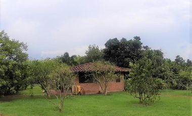 lote en venta en vía el naranjal-ginebra. Cod V107665