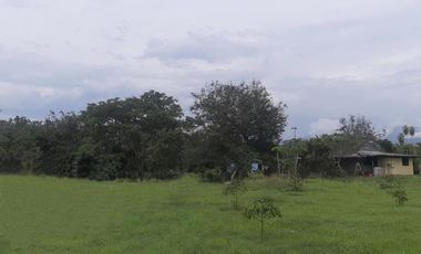 lote en venta en vía el naranjal-ginebra. Cod V107665